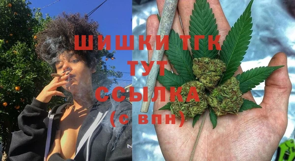 стафф Абаза