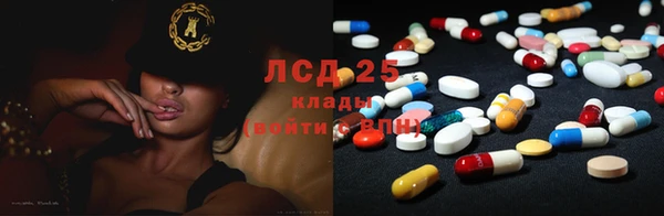 ГАЛЛЮЦИНОГЕННЫЕ ГРИБЫ Абинск